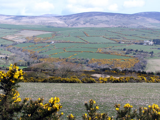 common view of the Manx countryside in spring