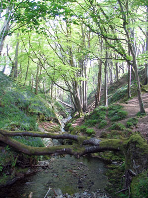 Groudle Glen is just one of the many beautiful glens the island has to explore