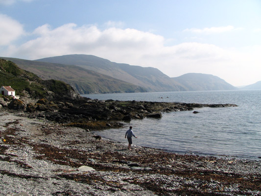 Niarbyl