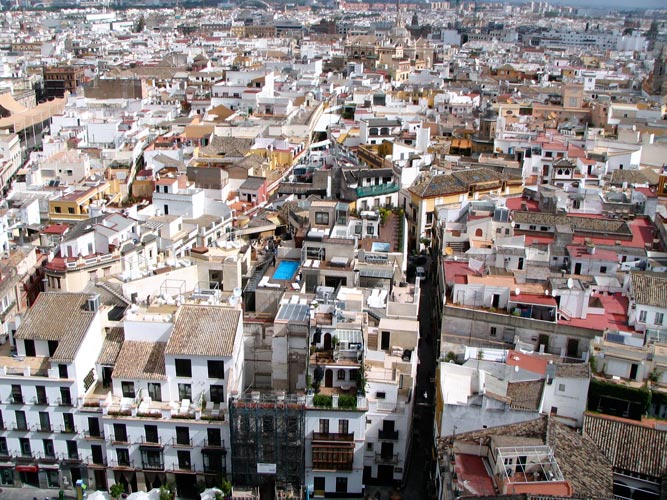 seville cathedral